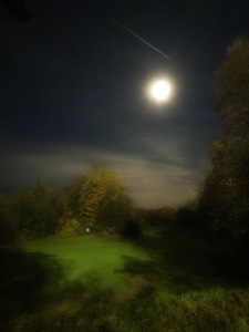 %d1%85%d0%b5%d0%bb%d0%bb%d0%be%d1%83%d0%b8%d0%bd